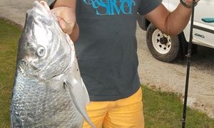 Wonderwurm vang Steenbras